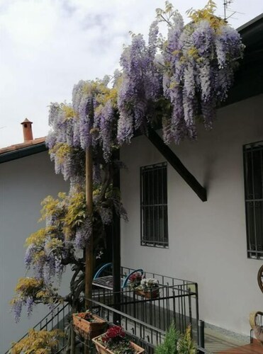 Delightful apartment in courtyard - Rho-Fiera-MIND