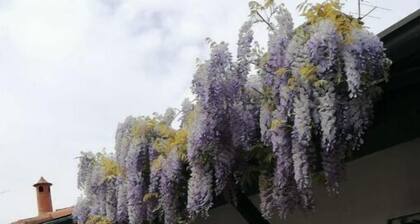 Delightful apartment in courtyard - Rho-Fiera-MIND