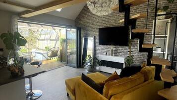 Smart TV, caminetto, libri