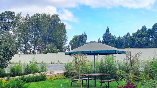 Un jardin avec une table de pique-nique et un parasol, entouré de verdure et d’un mur de pierre.