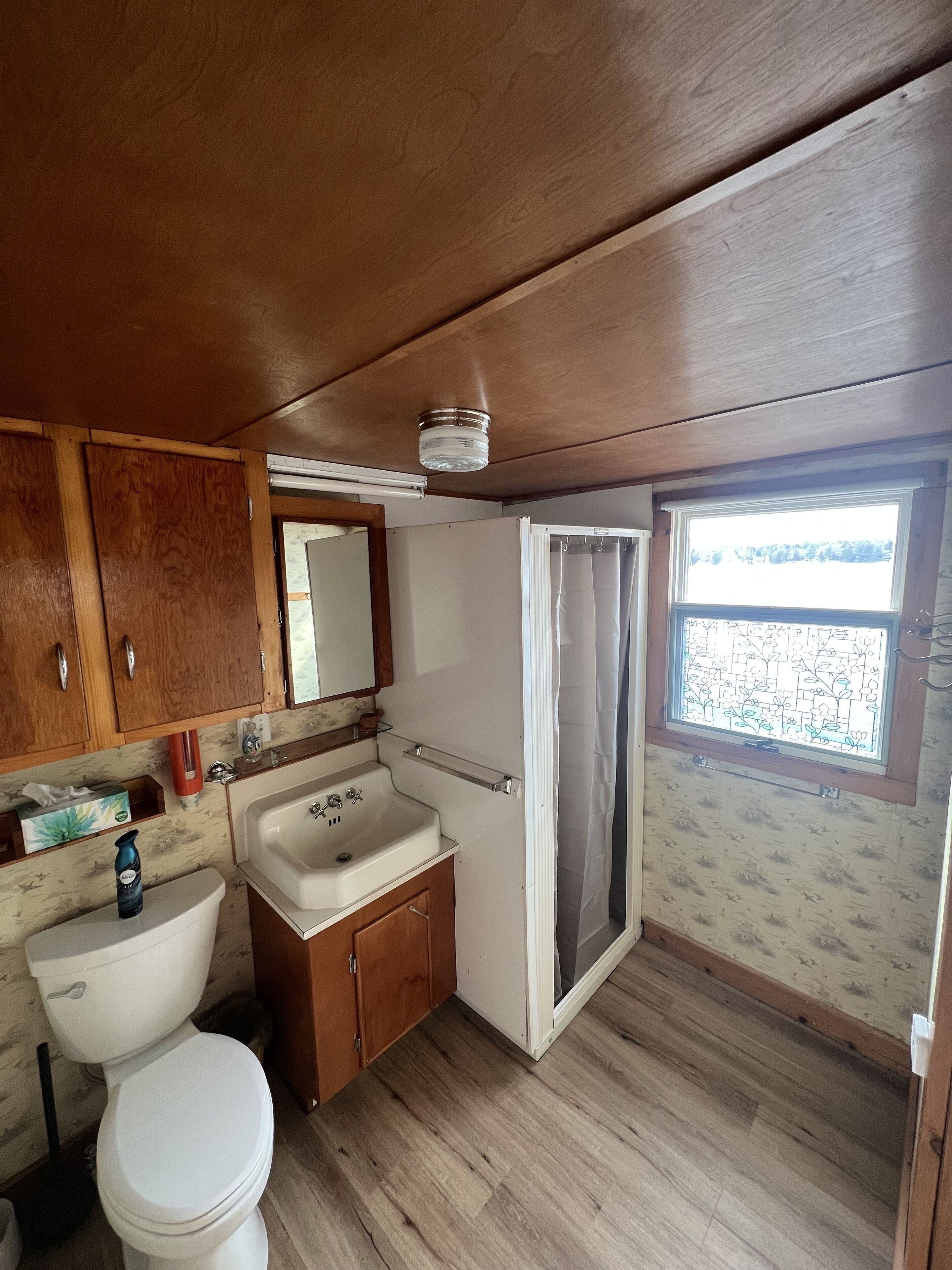 Een kleine badkamer met toilet, wastafel en douche.