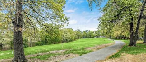Ein gepflasterter Weg in einem Park, gesäumt von Bäumen.