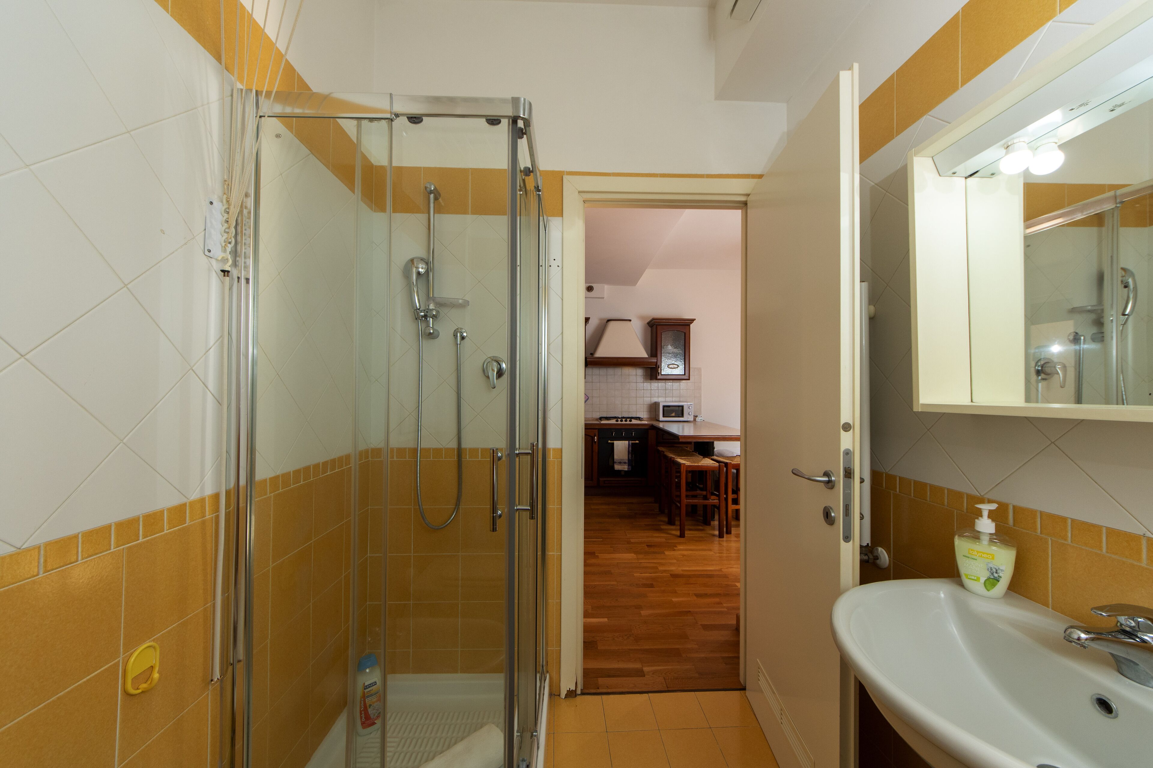 A bathroom with a glass-enclosed shower, a sink with a mirror, and a view into the adjacent kitchen area.