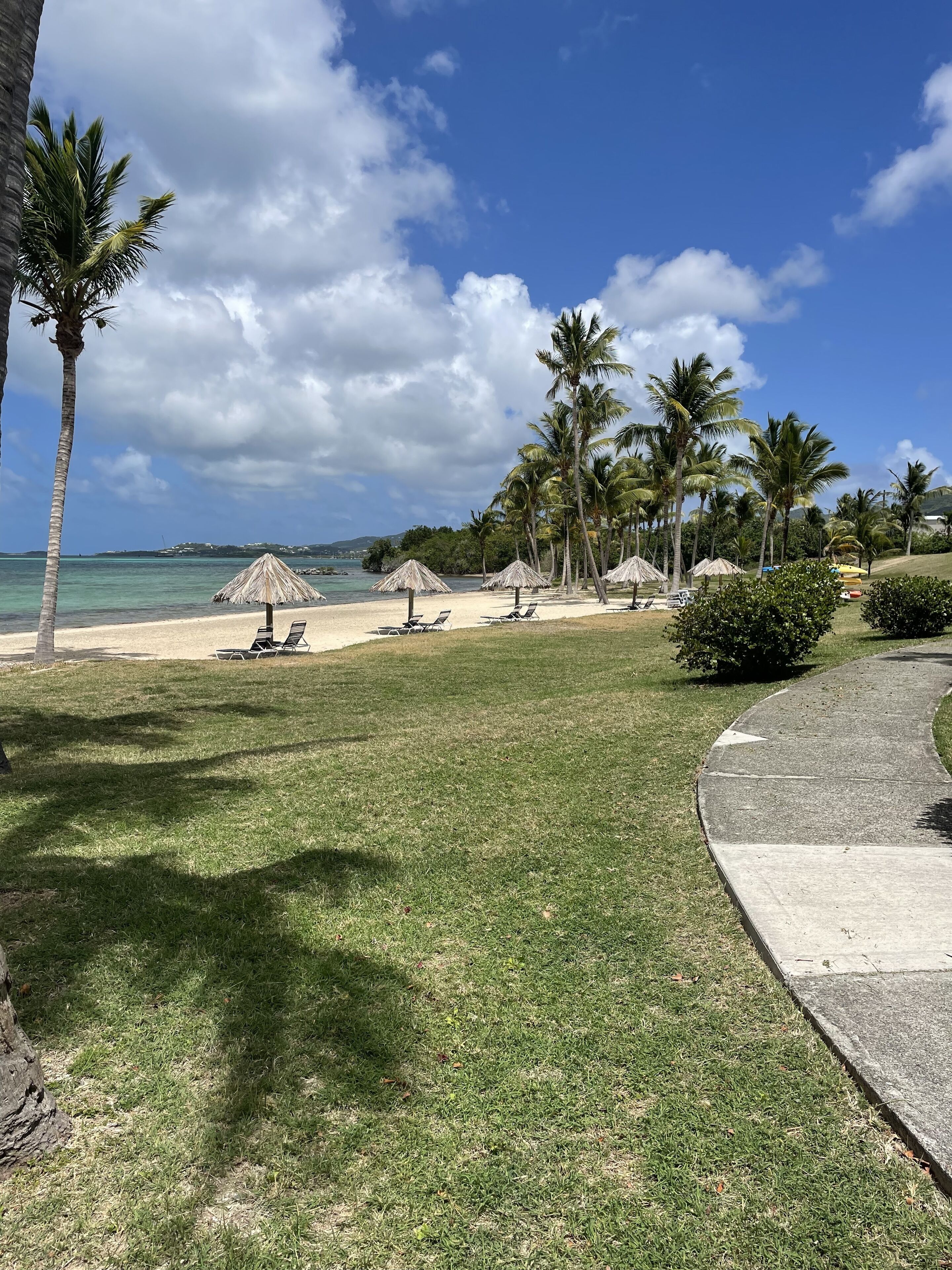 On the beach, sun loungers, beach towels