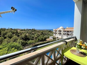 Property grounds - ALBUFEIRA CLASSIC 1 WITH POOL by HOMING (Albufeira)