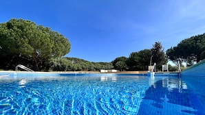 Una piscina azul cristalina con bordes de azulejos, rodeada de árboles y un cielo despejado.