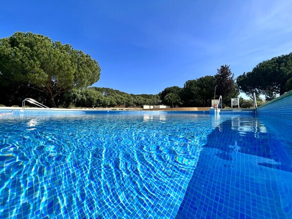 A clear blue swimming pool with tiled edges, surrounded by trees and a clear sky.