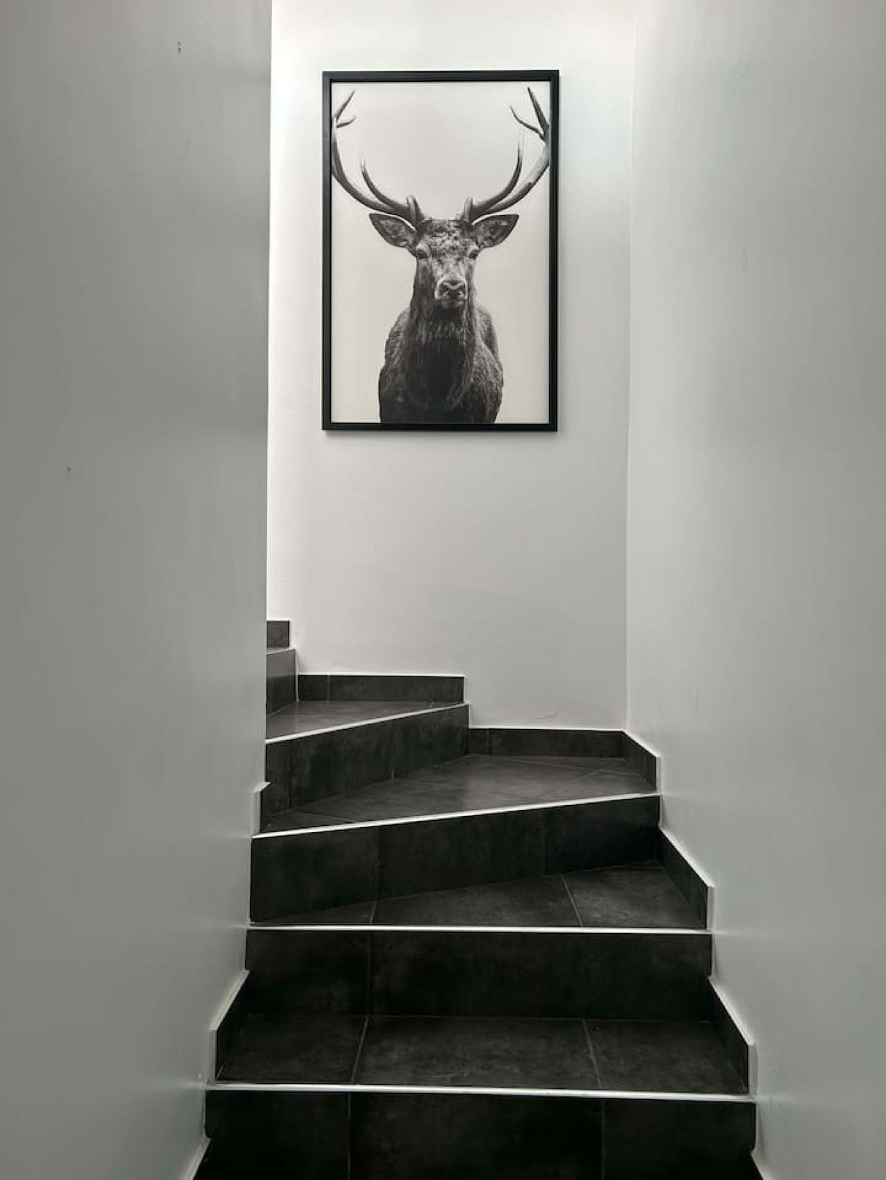 A staircase with a framed deer head artwork above it.