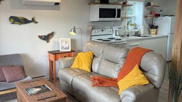 Älytelevisio, kirjoja