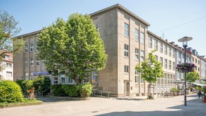 A building with a large tree in front, a clear sky, and a street with parked bicycles. - nestup Hildesheim Zentral (Hildesheim)