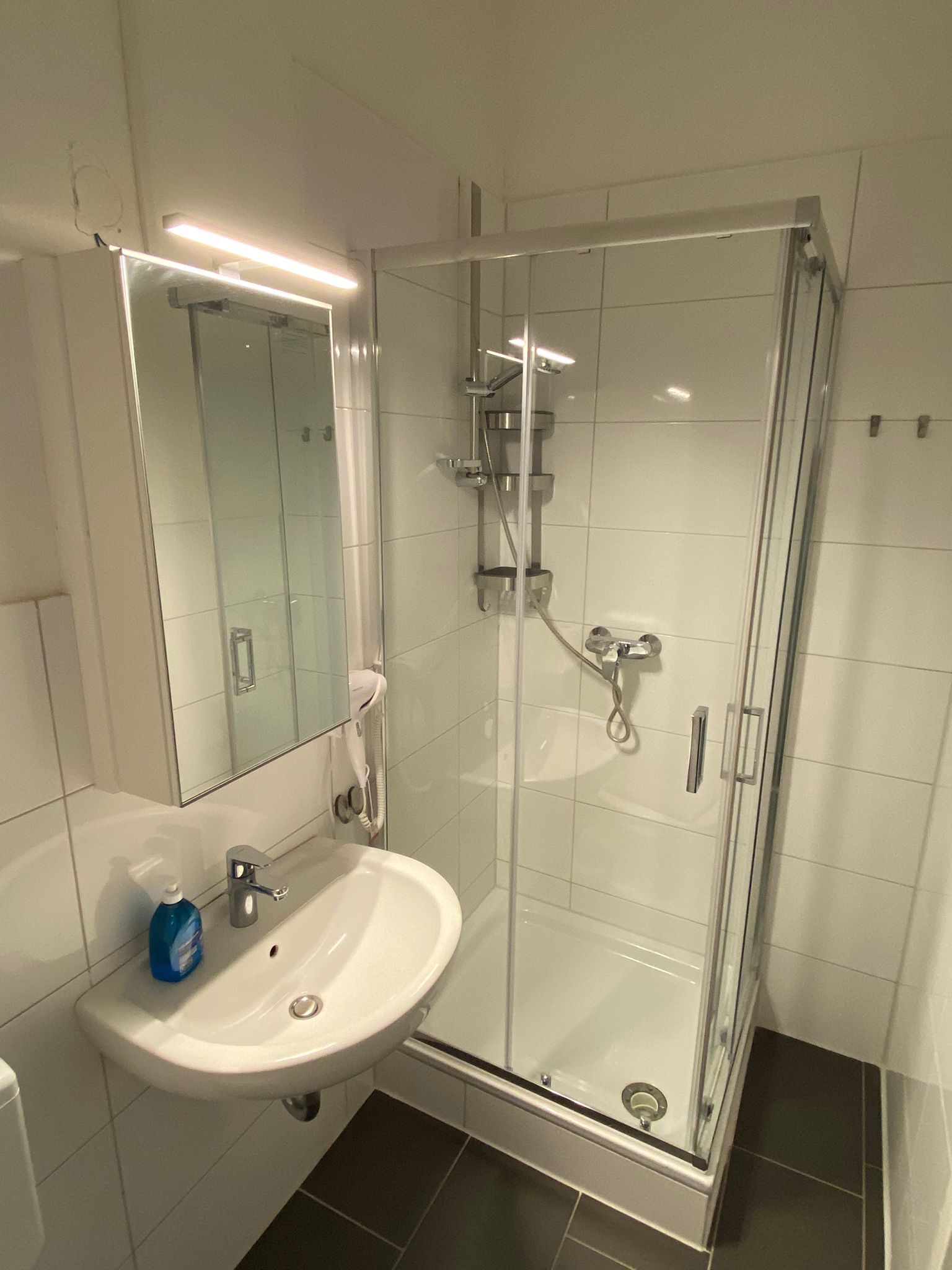 Dusche, Haartrockner, Handtücher