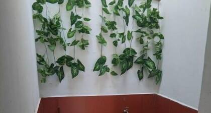 apt #5 comfortable and cozy in a strategic place