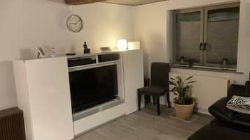 TV, fireplace, books, printers