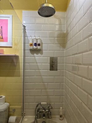 Appartement Classique, salle de bains privée | Salle de bain