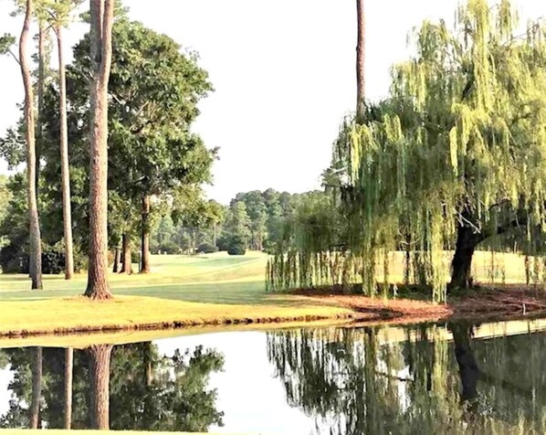 Golf - Amazing Spacious Golf View Condo (Myrtle Beach)