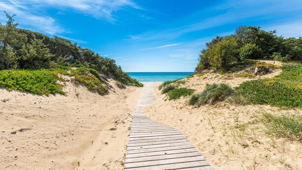 A wooden pathway leading to a beach with clear skies and greenery on both sides.