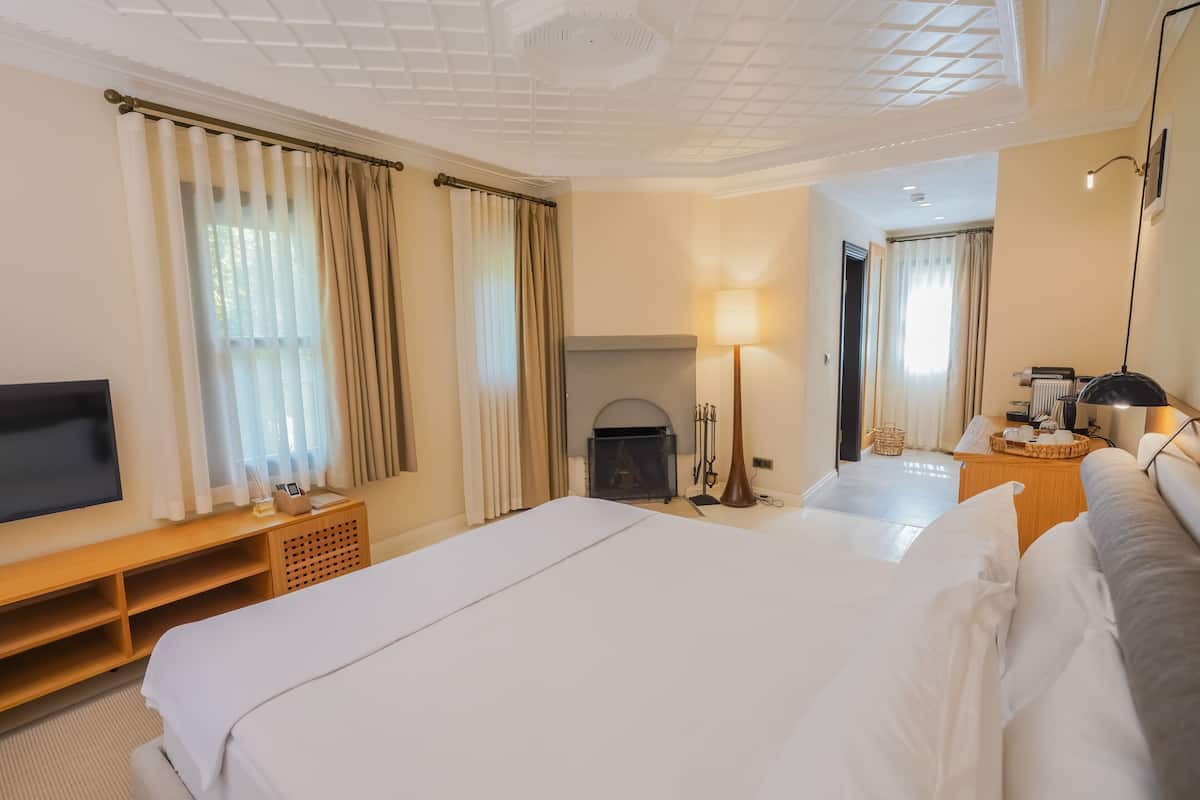A hotel room with a large bed, a TV, a fireplace, and a lamp.