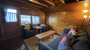 TV connectée, cheminée, livres