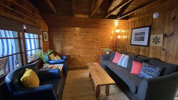 Een smart-tv, een open haard en boeken