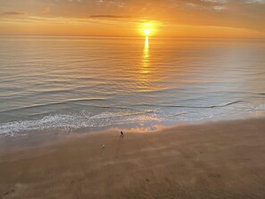 Pantai di sekitar, payung pantai, dan 4 bar pantai