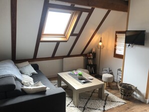 DVD player, table tennis, books, video library - Studio-Mountain view-Wet room-Romantic (Aleu)