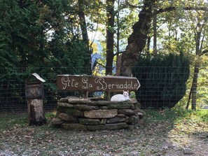 A rustic stone sign with a white cat sitting on it, surrounded by a stone wall and a wooden fence.