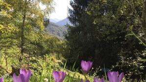 A natural landscape with purple flowers in the foreground and a mountainous backdrop. - Studio-Mountain view-Wet room-Romantic (Aleu)