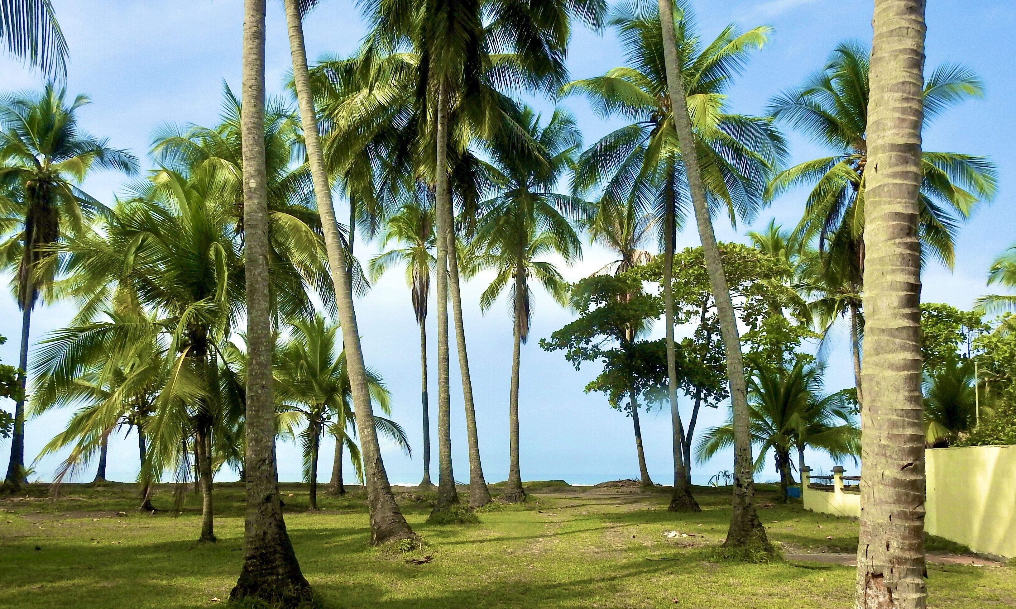 Tropical oceanfront three bedroom newly remodeled home.
