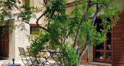 La Brise, Provencal apartment in Vence