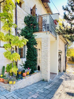 Detalle del exterior