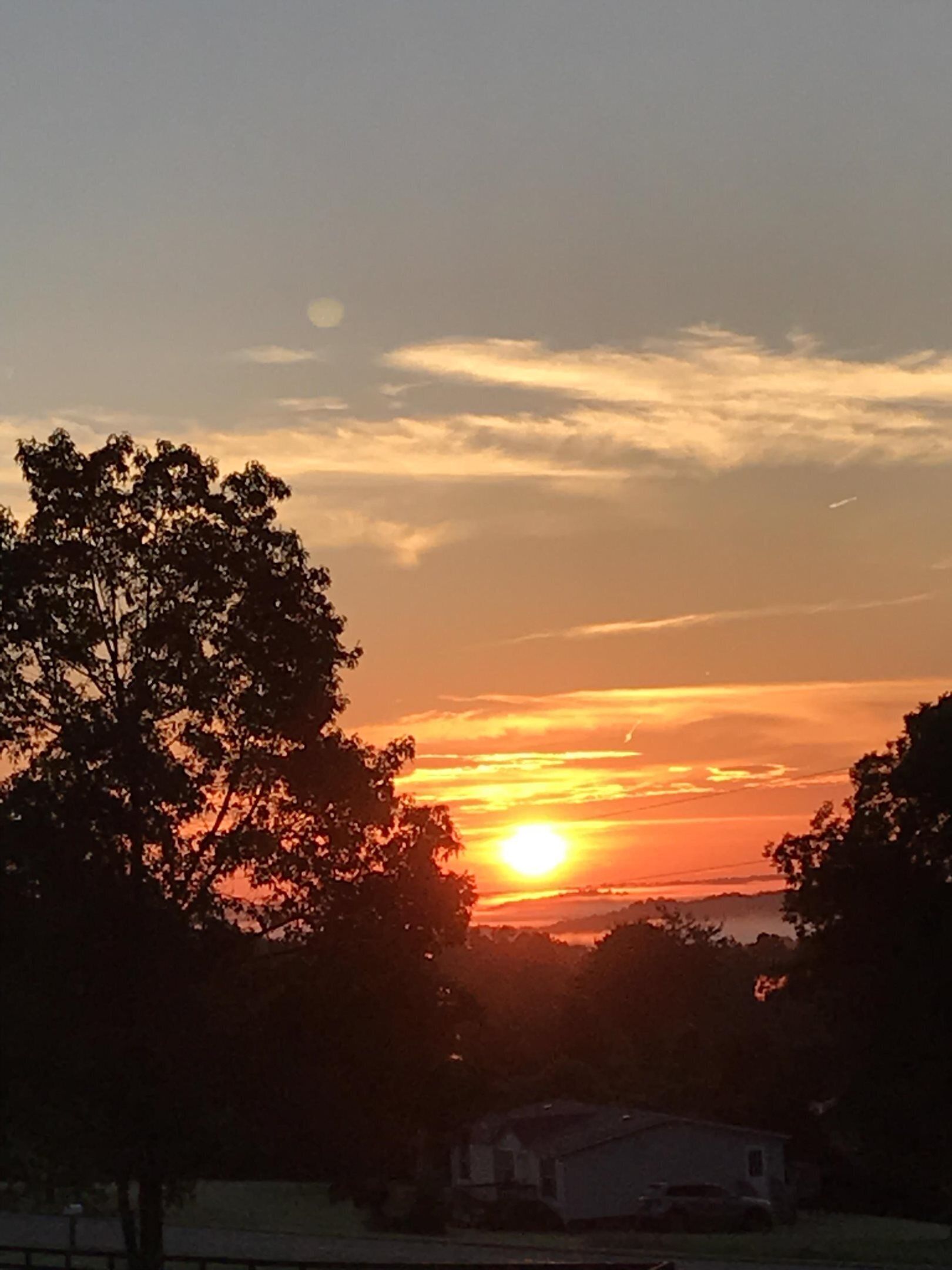 Peaceful surroundings in lovely cabin near wineries!