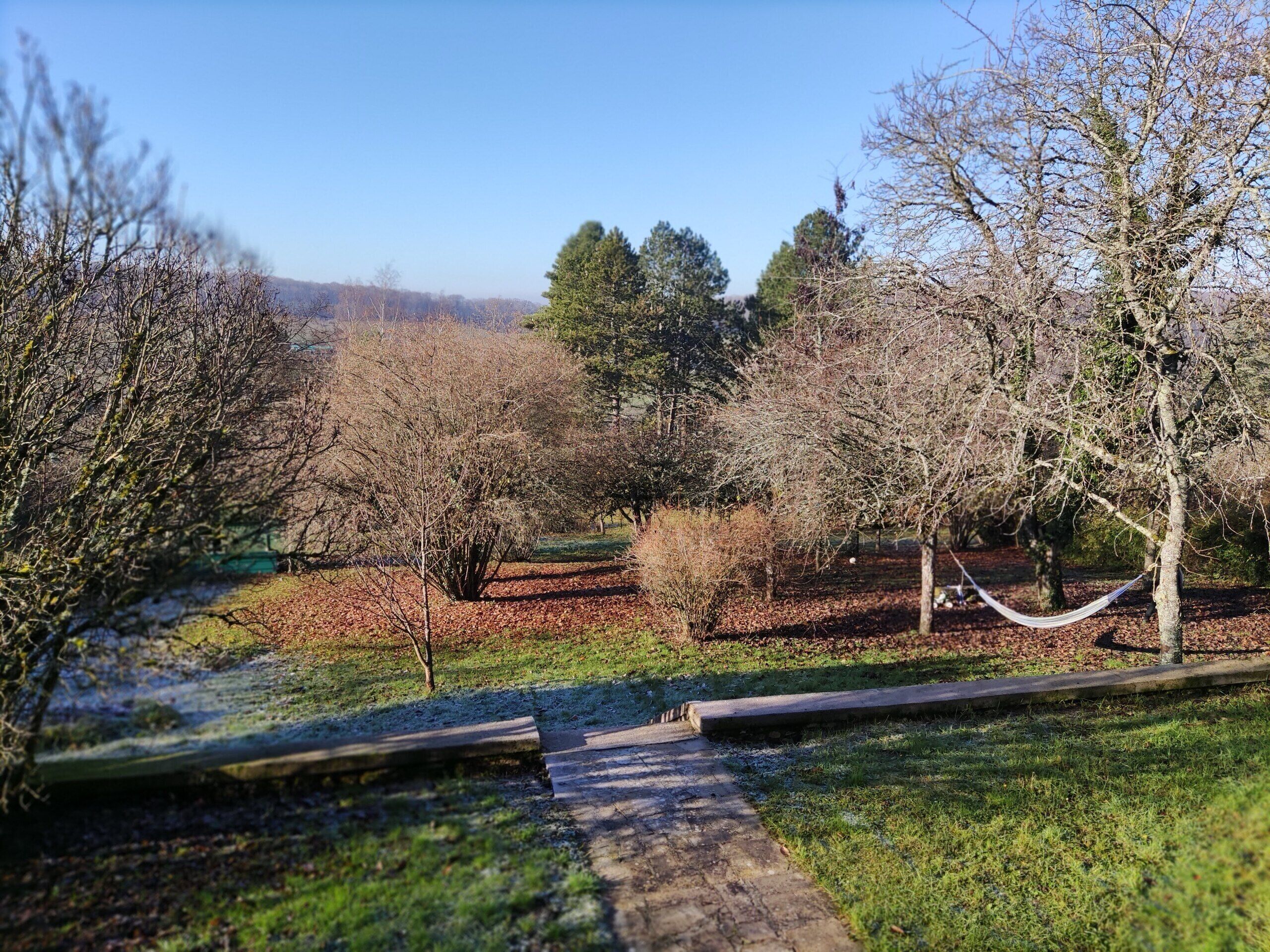 Un parque con un sendero pavimentado, árboles y una hamaca.