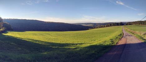 A rural landscape with a dirt road leading through a green field towards a hilly area.