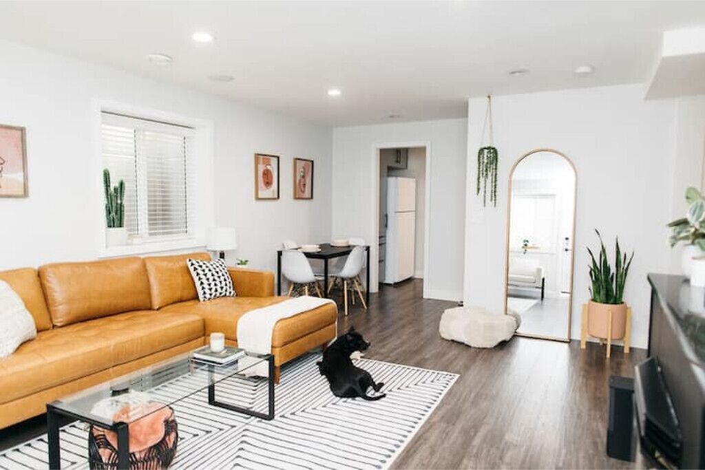 Spacious 1 Bedroom Pet Friendly Suite