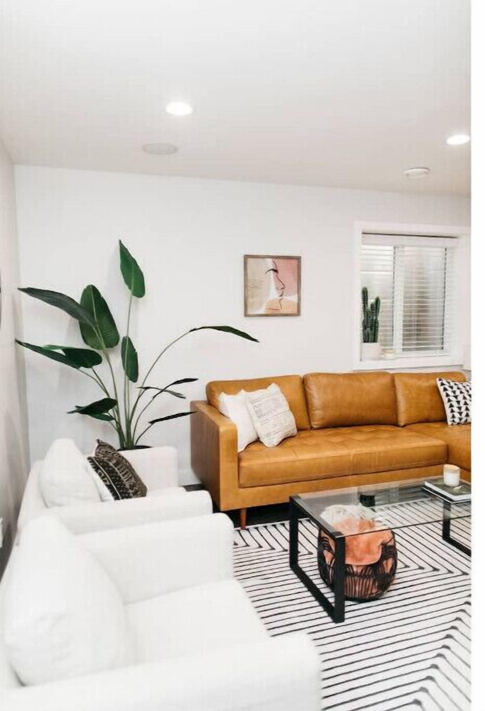 Spacious 1 Bedroom Pet Friendly Suite