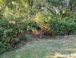 المنطقة المحيطة بالمنشأة