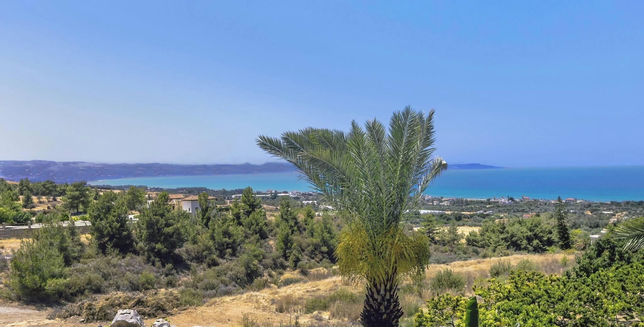 Un paisaje costero con una palmera destacada, edificios a lo lejos y una vista despejada del mar.