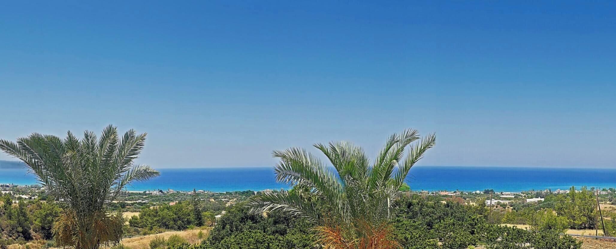 A coastal landscape with palm trees and a view of the ocean.