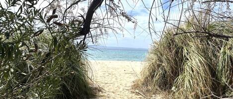 House, 2 Bedrooms, Balcony, Garden View | Beach | On the beach