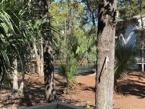 Property grounds - Hilton Head · Beautiful Hilton Head Condo across from the beach! (Hilton Head)