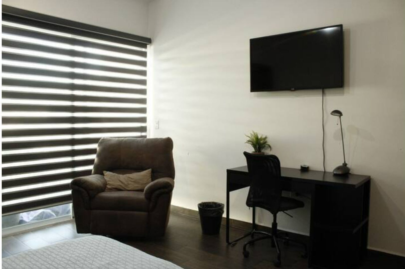 Casa Las Palmas, full of life, with a private pool.