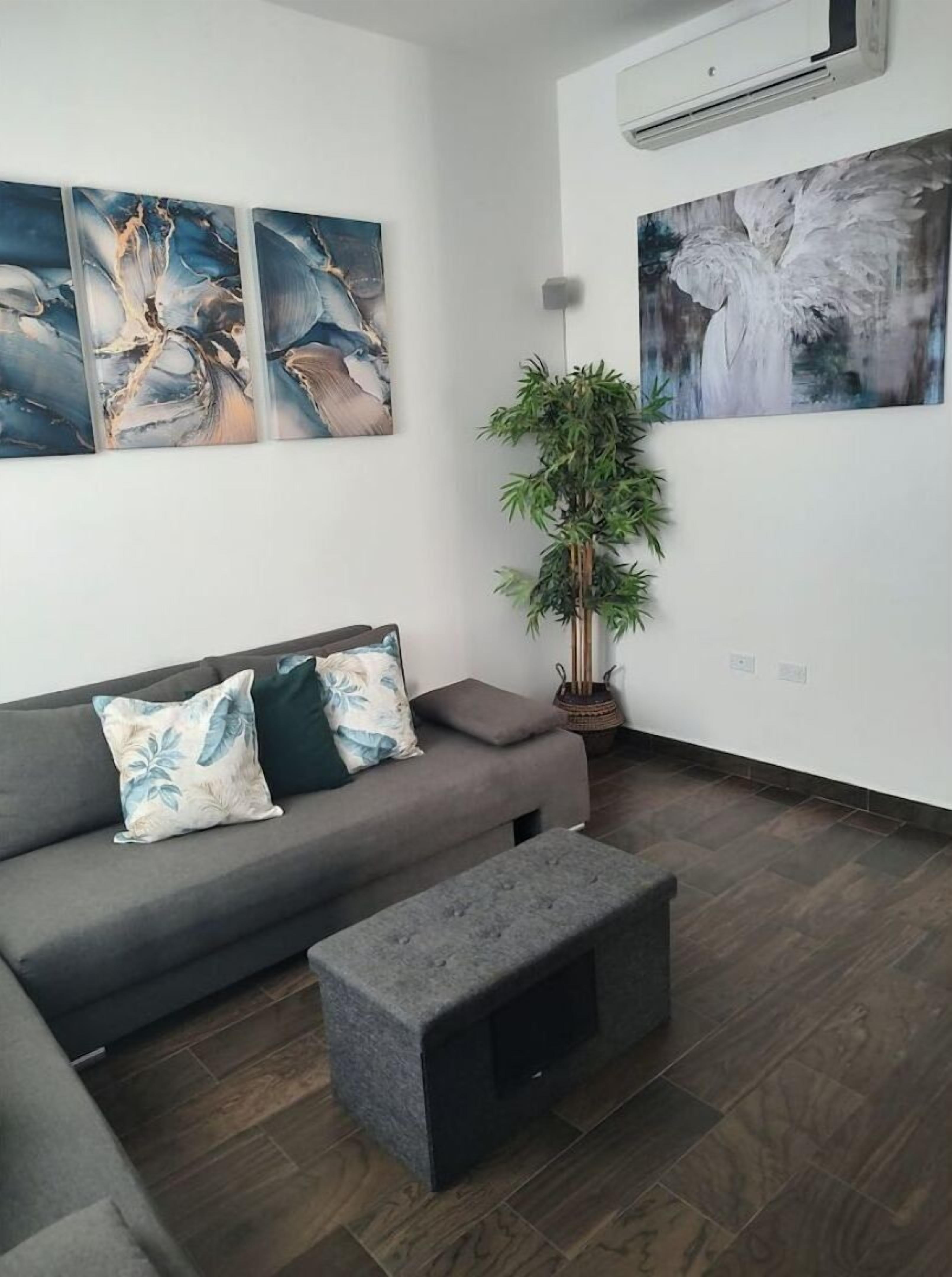 Casa Las Palmas, full of life, with a private pool.