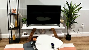 Un saló amb televisió plana, un quadre, una planta i una taula petita amb un comandament a distància.