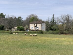 Extérieur