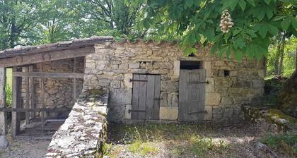 Charming Quercy house recently restored with great care.