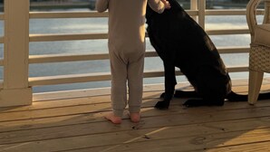 Ein Kind in neutralen Farben steht auf einem Holzboden und betrachtet einen schwarzen Hund.