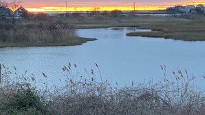 Un fiume tranquillo con canneti in primo piano e case sullo sfondo al tramonto.