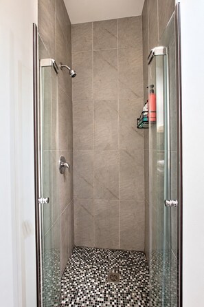 12 Douche - Shower - Pop/Rooftop/Terraces/Plateau/St-Denis/AC/TV (Montréal)
