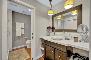 Shower, hair dryer, bidet, towels - Inner Harbor Gem (Baltimore)