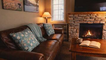 Télévision, cheminée, espaces bureaux